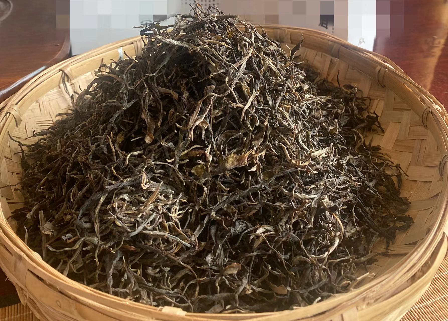 云南西双版纳勐宋普洱茶茶农400吨生茶，可压制
